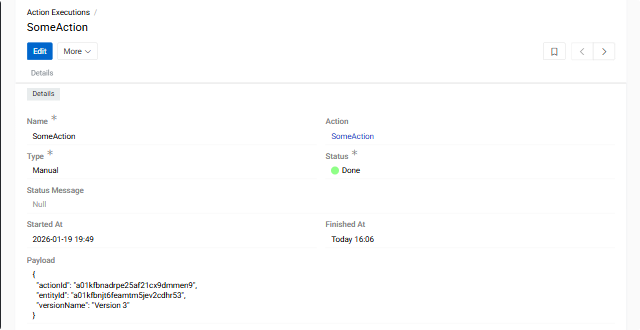 Execution Detail View