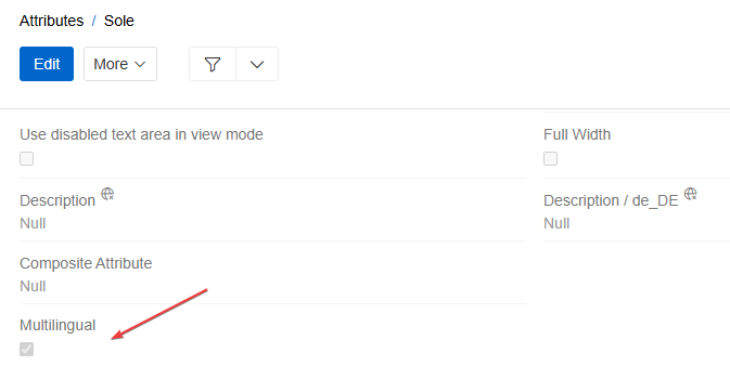 Multilingual attributes