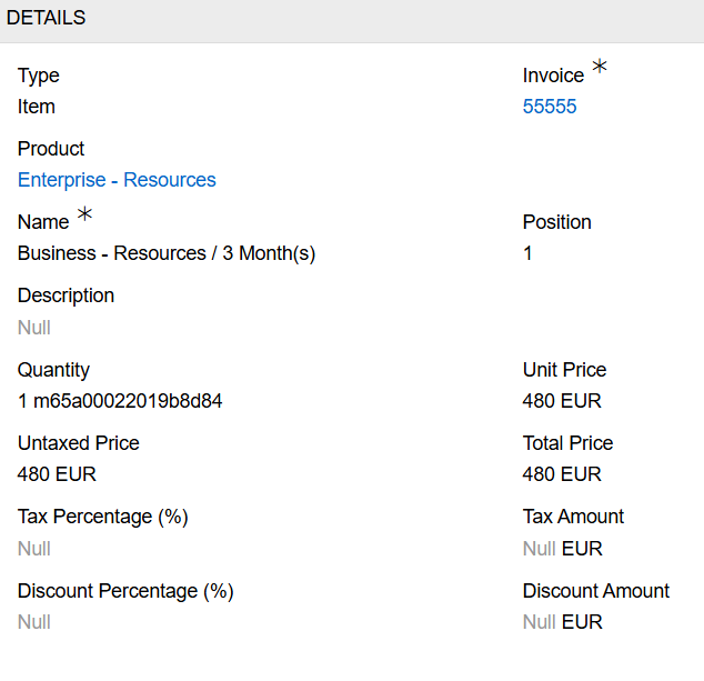 Invoice item
