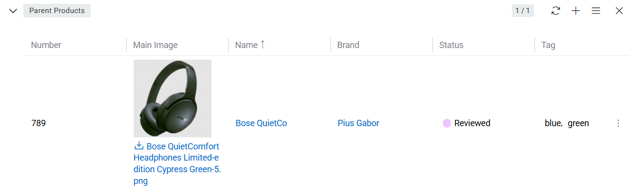 Parent Products panel